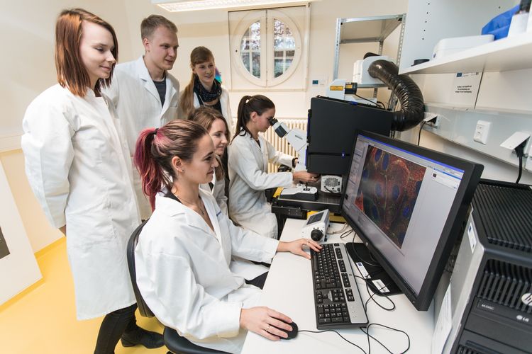 Studierende im Labor schauen sich eine Mikroskopabbildung am Computer gemeinsam an, Foto: Christian Hüller