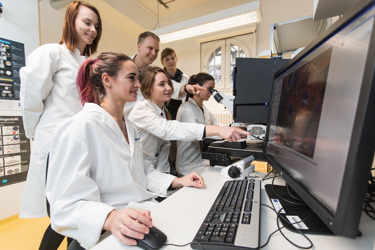 Studierende im Labor schauen sich eine Mikroskopabbildung am Computer gemeinsam an, Foto: Christian Hüller