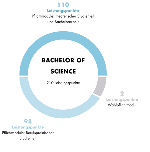 Grafik_Aufbau des Studienganges