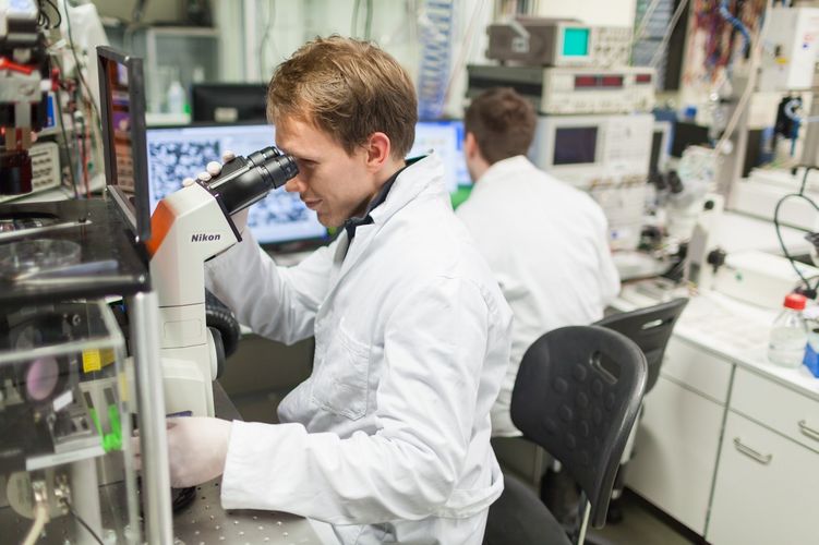 Student blickt durch ein Mikroskop im Labor, Foto: Christian Hüller