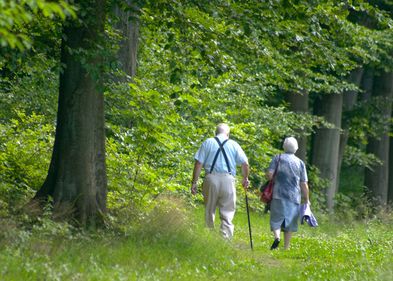 Körperliche Aktivität verringert das Risiko, an Demenz zu erkranken.. Körperliche Aktivität verringert das Risiko, an Demenz zu erkranken..