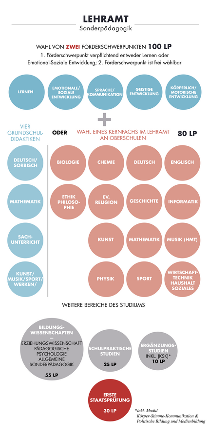zur Vergrößerungsansicht des Bildes: Die Grafik zeigt den Aufbau des Studiums Lehramt Sonderpädagogik.