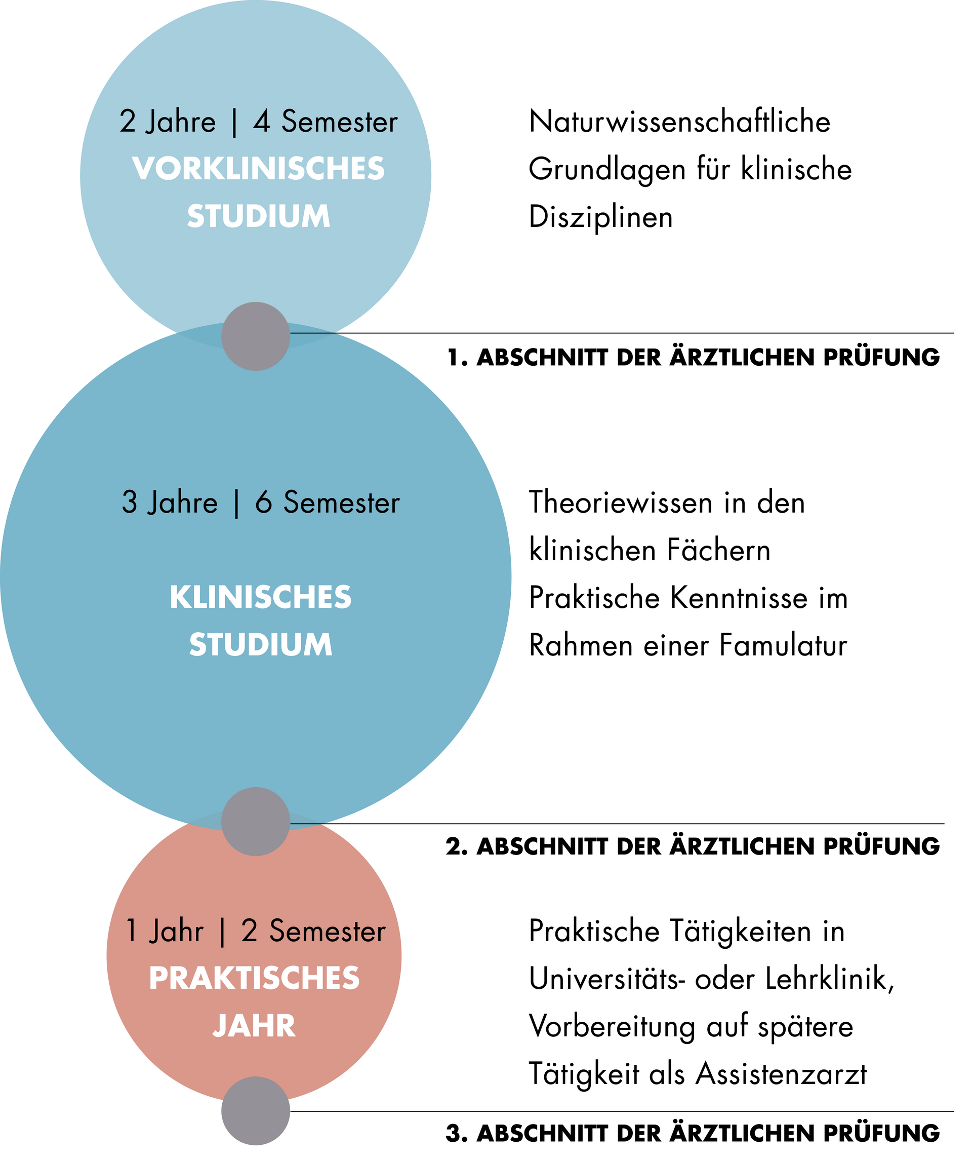 Universität Leipzig Medizin Staatsexamen