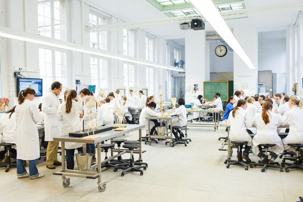 zur Vergrößerungsansicht des Bildes: Studierende der Veterinärmedizin bei einer Übung im Labor