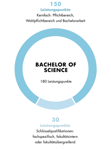 Diese Grafik zeigt den Aufbau des Bachelor of Science Wirtschaftsinformatik. Der Aufbau ist auch im Textteil beschrieben.